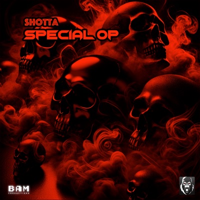 Special Op - Single