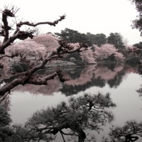 Things Go Wrong - Single - vent