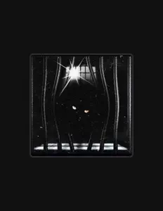 etag calenを聴いたり、ミュージックビデオを鑑賞したり、経歴やツアー日程などを確認したりしましょう！