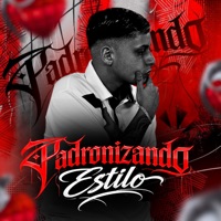 Padronizando Estilo - Single - MC Hernan