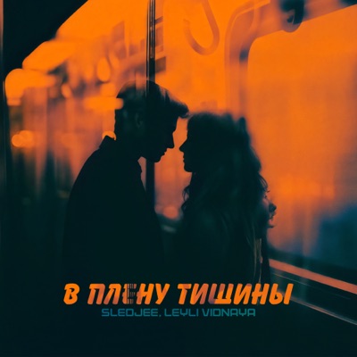 В плену тишины - Single