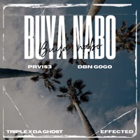 Buya Nabo (feat. Triple X Da Ghost & Effected) - Single - PRVIS3 & DBN Gogo
