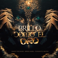 Brillo Como el Oro - Single - Manco the Sound, Fumaratto, Baztez & Sergio Angel