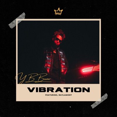 Vibration (feat. RayLamont) - Single