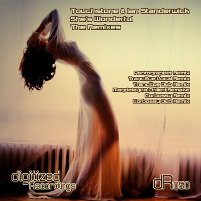 She's Wonderful the Remixes