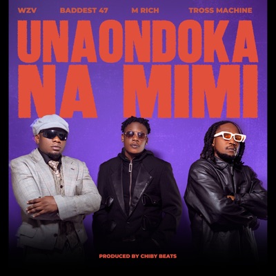 Unaondoka Na Mimi (feat. M Rich & Tross Machine) - Single