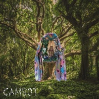 Bird House - Single - Cambot