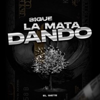 Sigue La Mata Dando - El Siete