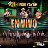 En vivo, Vol. 2 - Alfonso Payan y Asociados