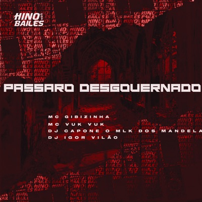 Passaro Desgovernado - Single
