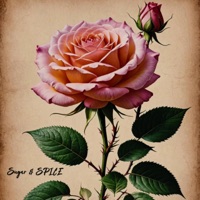 Sugar & SPICE - Single - Myla Cree