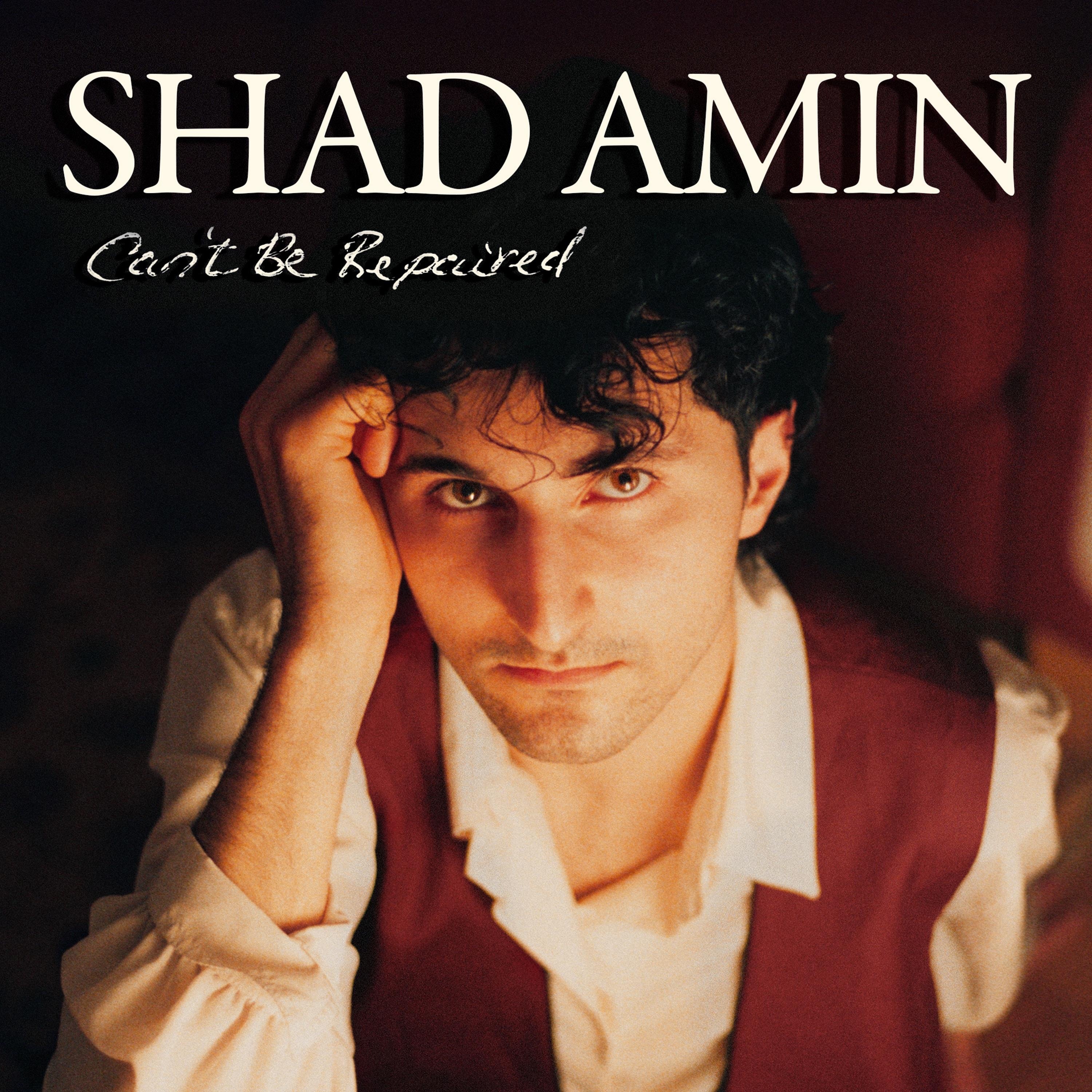 Can't Be Repaired - Single