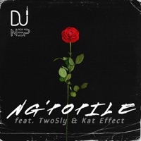 Ng'popile (feat. TwoSly & Kat Effect) - Single - DJ N.E.P