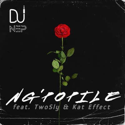 Ng'popile (feat. TwoSly & Kat Effect) - Single