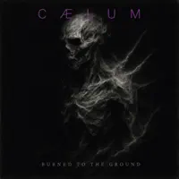 BURNED TO THE GROUND — caelum