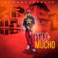 Poco & Mucho - Single - El Componentte