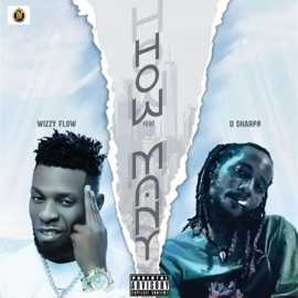 How Many (feat. D-$harp#) Wizzy Flow