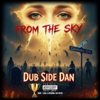 From The Sky - Single - Dub Side Dan