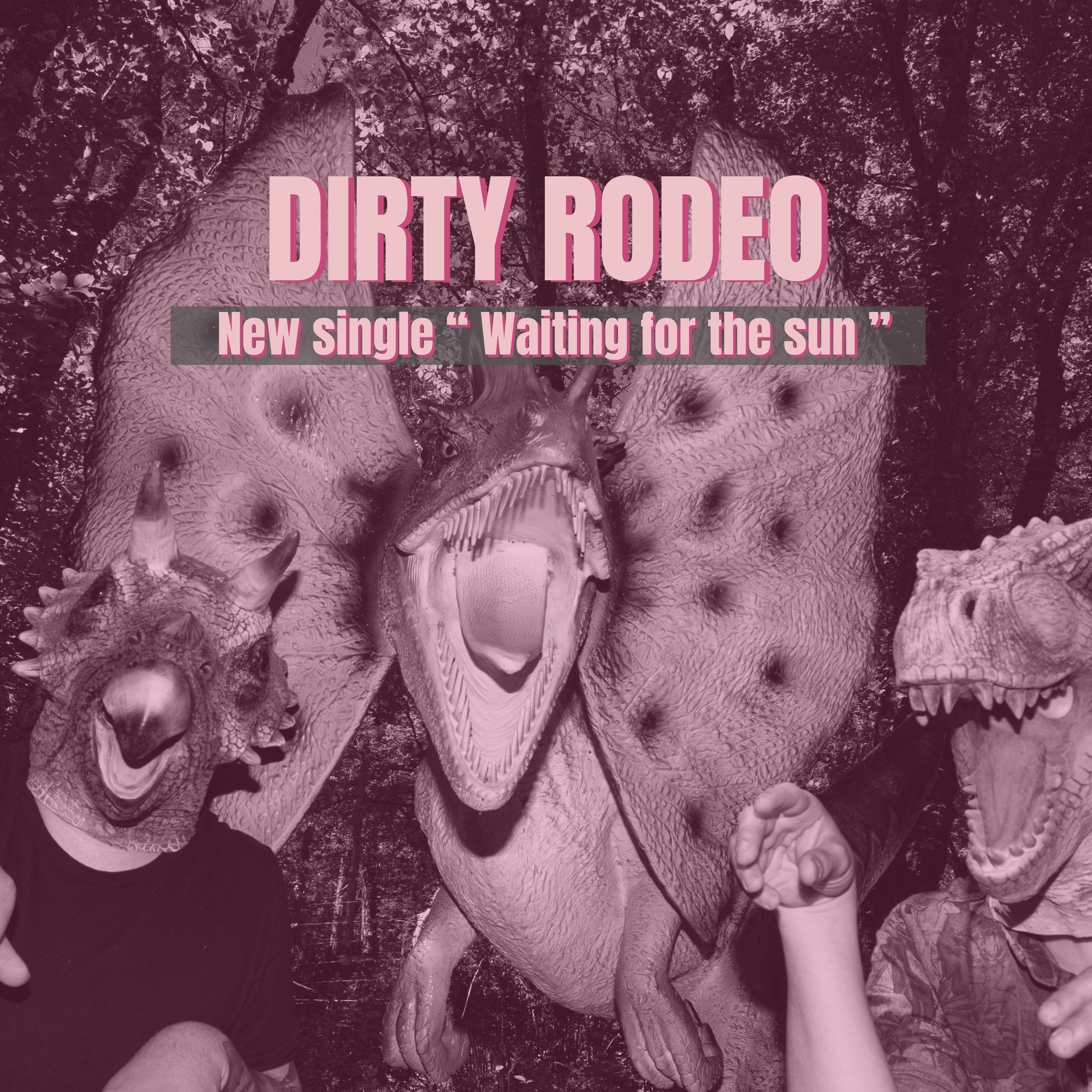 Waiting for the Sun - Single