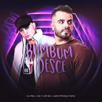 Bumbum Desce - Single - Mc Yuri BH & DJ PEU