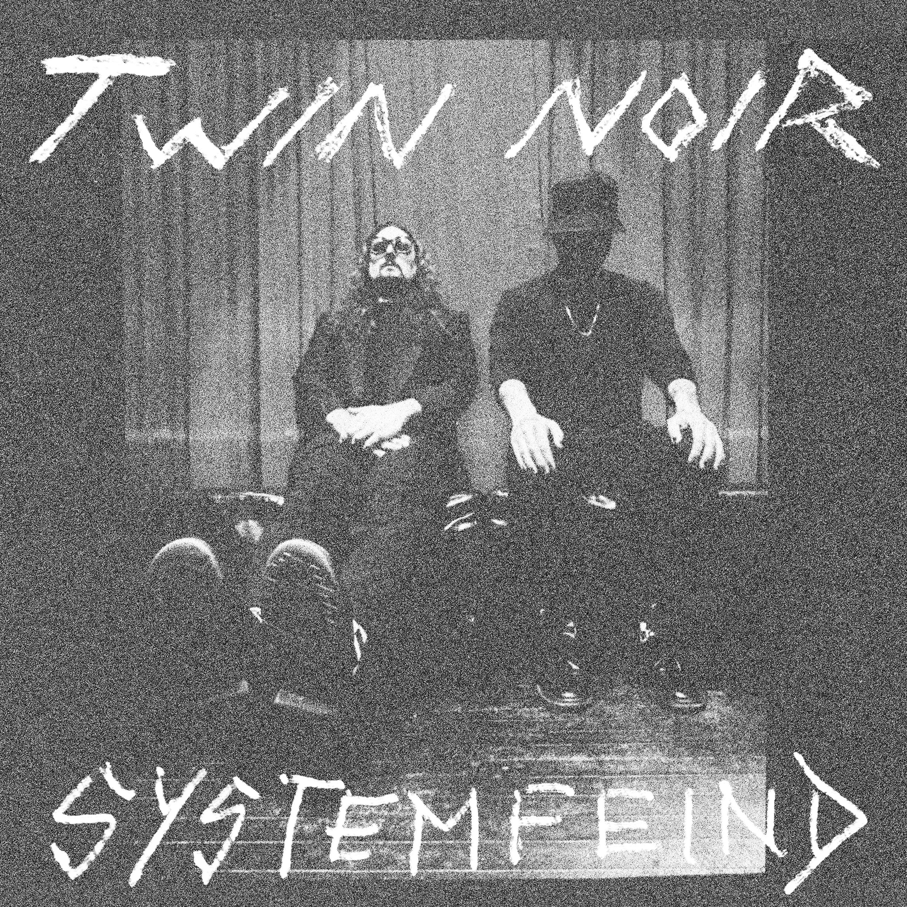 Twin Noir - Stimmen