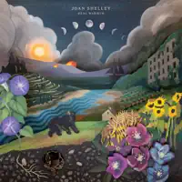 The Orchard — Joan Shelley