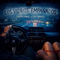 Los Vidrios Empañados - Single - Castro Angel & Los Tamayo