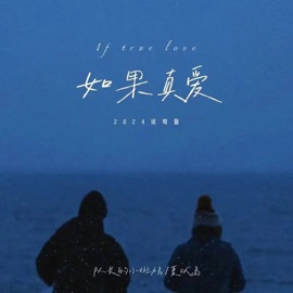 如果真爱 (2024 说唱版) 队长的小斑鸠 & 夏以岛