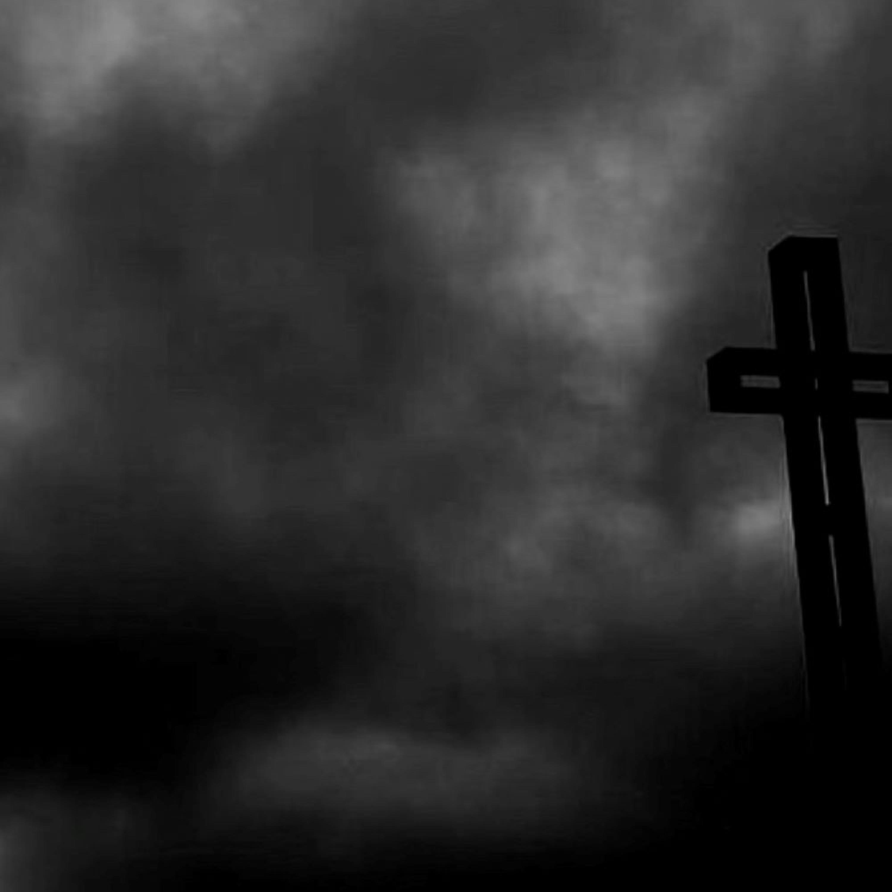 The Last Shadow Of The Puppets