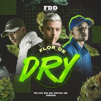 Flor de Dry - Single - Digdin, TEJ DO SM & MC ERYCK HK