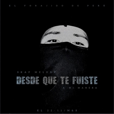Desde Que Te Fuiste - Single