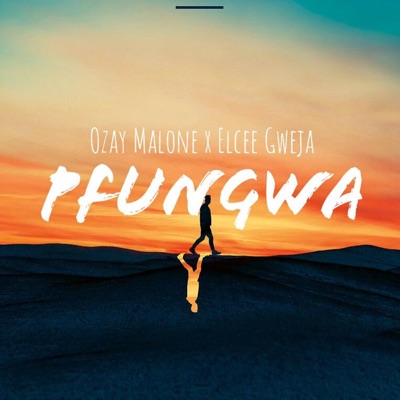 Pfungwa (feat. Elcee Gweja) - Single
