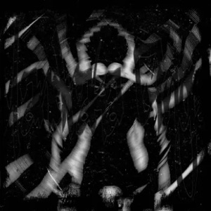 Mandraka Ginga (feat. RODZILLA) - Single