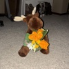 moose! - Single