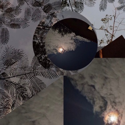 Caminhos de Fuga (feat. EricBeatz) - Single