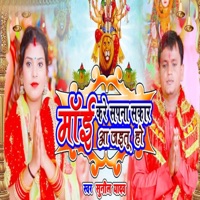 Mai Kare Sapna Sakar Aa Jaitu Ho - Single - Sunil Yadav