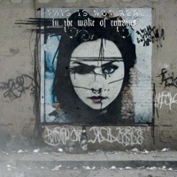 In The Wake of Remains - This Is Not Real