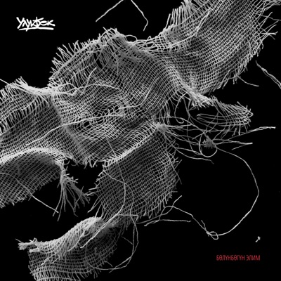 Бөлүнбөгүн Элим - Single