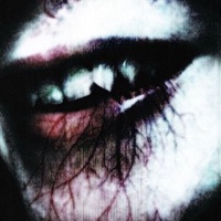 NEVER (feat. hbbbssuuuu) - Single - Krvmpus