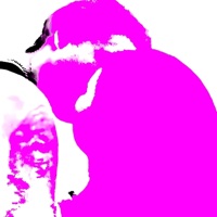 SCHMUSEN - Single - Suikoon