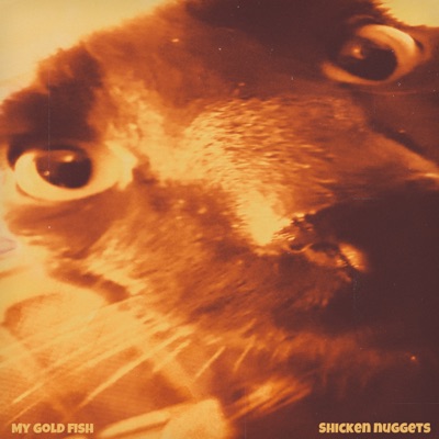 Shicken Nuggets - Single