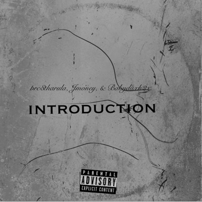 Introduction (feat. prc8tharula & JMoney) - Single