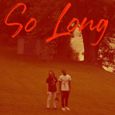 So Long (feat. Cold Heart Nash) - Single