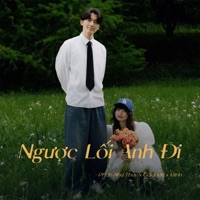 Ngược Lối Anh Đi (Lofi) - Single - Phan Như Thùy & GOLD MK
