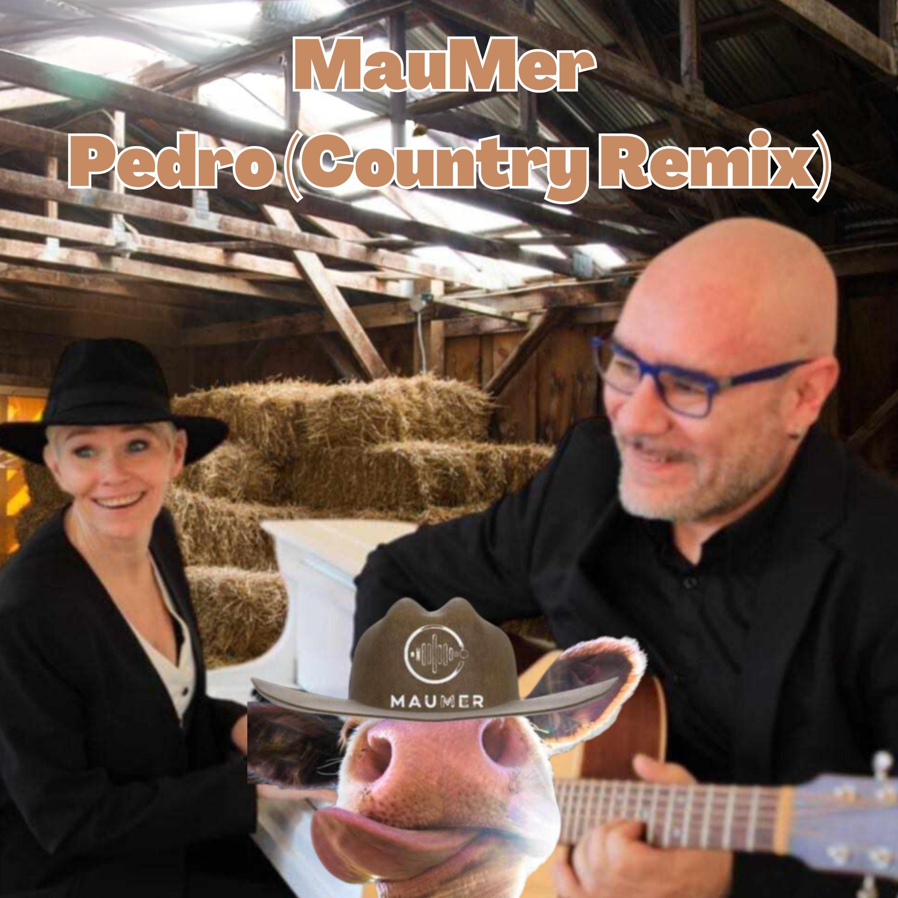 Pedro (Country Remix) - Single