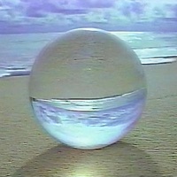 Shake (feat. Necroez) - Single - Von Storm