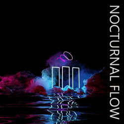 Nocturnal Flow - LUP ZONE Cover Art