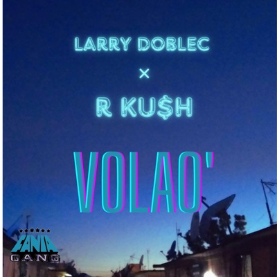 Volao (feat. R Ku$h) - Single
