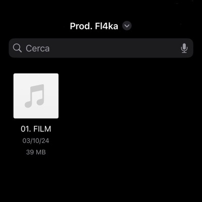 FILM (feat. FL4KA) - Single