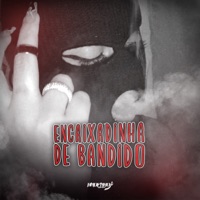 Encaixadinha de Bandido - Single - MC Andynho Ramos & Gt do Mira